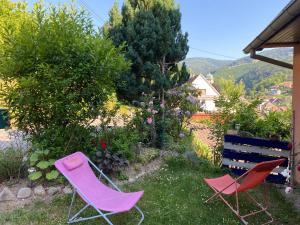 dwa różowe krzesła i ławka w trawie w obiekcie entre vignes et montagnes chambres w mieście Fréland