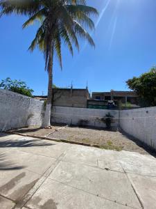 uma palmeira em frente a uma parede com um passeio em Casa a 5 minutos del mar em Mazatlán