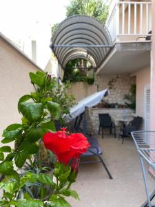 uma flor vermelha numa planta num quintal em Apartments Leko em Zuljana