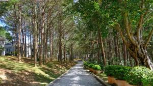 um caminho arborizado com plantas de cada lado em Dalat Edensee Lake Resort & Spa em Da Lat