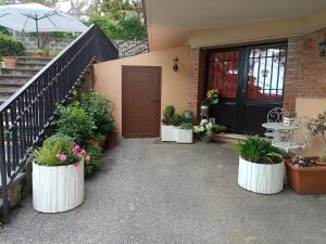 Zahrada ubytování Villa Sant'Andrea