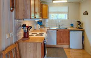 uma cozinha com um balcão e um fogão forno superior em Stunning Home In Mosvik With 3 Bedrooms em Mosvik