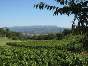 a vineyard in the hills with a city in the background at Domaine du Coffre in Pertuis +1 photo