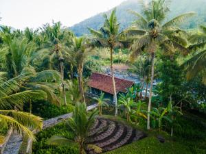 an aerial view of a resort with palm trees at Darmada Eco Resort in Sidemen