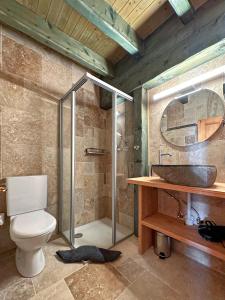 een badkamer met een douche, een toilet en een wastafel bij Chalet Karibu - 4 Vallees - A 20 mns de Verbier in Bruson