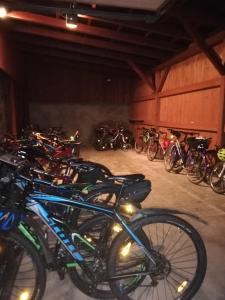 un montón de bicicletas estacionadas en un garaje en Penzion Bohemia, en Lomnice nad Lužnicí