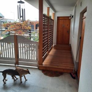 Domácí mazlíčci ubytovaní s hosty v ubytování Ferienwohnung Fertsch