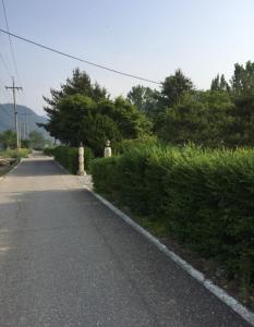 une route vide avec des buissons sur le côté de la route dans l'établissement Gabriel Villa, à Jeongseon