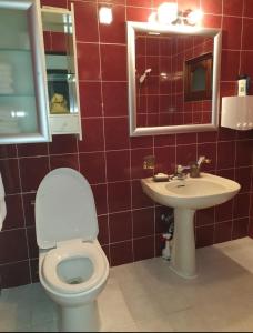 a bathroom with a toilet and a sink at Gabriel Villa in Jeongseon