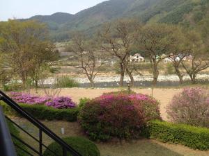 a view of a garden with pink flowers and trees at Gabriel Villa in Jeongseon
