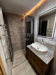 y baño con lavabo y ducha. en Apartment in the old town en Kėdainiai