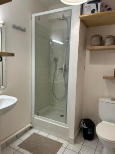 a shower stall in a bathroom with a toilet at Appartement port de Vannes in Vannes