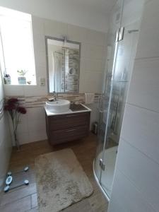 La salle de bains est pourvue d'un lavabo et d'une douche. dans l'établissement Soukromé pokoje, à Havlíčkův Brod