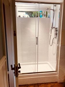 a shower with a glass door in a bathroom at Heydon Guest Suite in Heydon