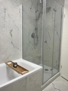 a bathroom with a shower with a glass door at Schöne Terassenwohnung in Böblingen