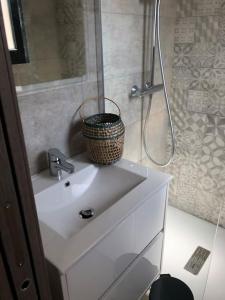 La salle de bains est pourvue d'un lavabo et d'une douche. dans l'établissement Villa neuve avec piscine, à Bonifacio