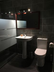 a bathroom with a sink and a toilet and a mirror at La ferme de tonton Jules et mamé Julia in Entraigues-sur-la-Sorgue