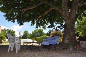 two chairs and a table under a tree at La ferme de tonton Jules et mamé Julia in Entraigues-sur-la-Sorgue