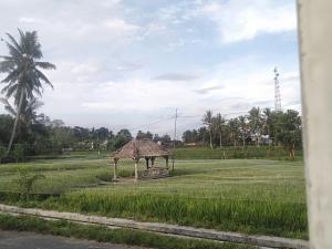 einen Pavillon auf einem Feld mit einer Palme in der Unterkunft Eco Hostel Bujak Permai Lombok in Mantang