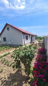 une maison blanche avec des fleurs devant elle dans l'établissement Casa Catalin,Corbu, à Corbu