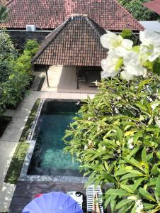 einen Pool inmitten eines Gartens in der Unterkunft The Island Bali in Seminyak