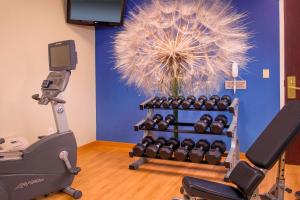 a room with a gym with a bunch of equipment at SpringHill Suites Raleigh-Durham Airport/Research Triangle Park in Durham