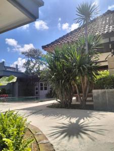 einen Innenhof mit Palmen und ein Gebäude in der Unterkunft The Island Bali in Seminyak