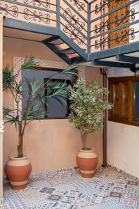 Fotografie z fotogalerie ubytování MORISCA v destinaci Alicante + 2 fotografie