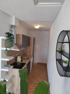 eine Küche mit einer Spüle und einer Arbeitsplatte in der Unterkunft Apartment Čiovo Radić in Trogir