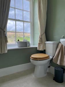 a bathroom with a toilet and a window at Stone House in Kington