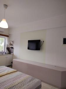 TV a/nebo společenská místnost v ubytování Eva Rooms