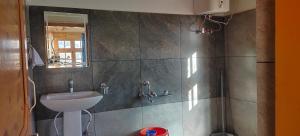 a bathroom with a sink and a shower at Guru view Home stay in Padam