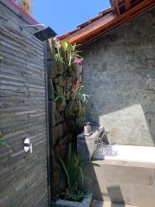 Fotografie z fotogalerie ubytování Virani Villa v Ubudu