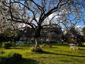 un albero con fiori di fronte a una casa di La Romance et la Romanesque a Berville-sur-Mer