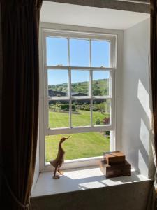 Un uccellino giocattolo seduto sul davanzale della finestra che guarda fuori di Stone House a Kington