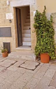 a building with two plants in front of a door at B&B Romeo in Bari