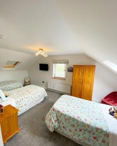 1 dormitorio con 2 camas y TV. en Ardbrin Lodge, en Dunadry