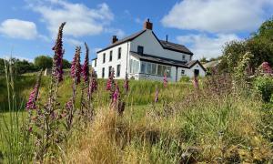 a white house in the middle of a field with purple flowers at Dyffryn in Newport Pembrokeshire
