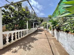 a walkway with plants on a white fence at Tenteniguada Enjoy Nature Villa in Las Palmas de Gran Canaria