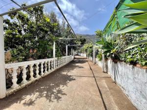 ein Gehweg mit Pflanzen auf einem weißen Zaun in der Unterkunft Tenteniguada Enjoy Nature Villa in Las Palmas de Gran Canaria