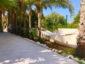 a driveway with palm trees and a fence at Villa Holiday in Castellón de la Plana