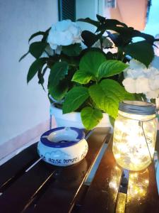 un tavolo con un barattolo e un vaso con una pianta di Gio House Pompei a Pompei