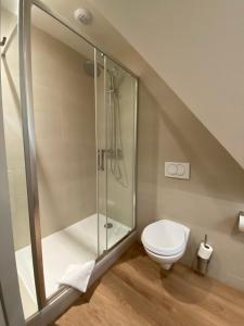 a bathroom with a shower and a toilet at L'Huitrière in Quiberville