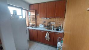Kuchyň nebo kuchyňský kout v ubytování Studio apartman Tomi - seaview
