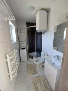 a bathroom with a shower and a toilet and a sink at domek Lawendowy na wiejskiej in Lubiatowo +27 photos