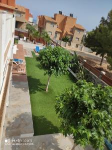 A garden outside CAL53