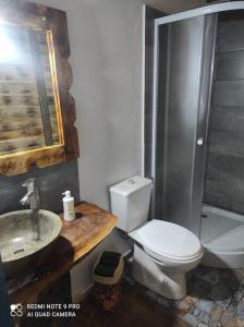 a bathroom with a toilet and a sink and a shower at Căsuța de la munte in Bistriţa