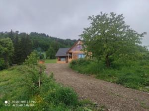 une maison sur une colline avec un chemin de terre devant dans l'établissement Căsuța de la munte, à Bistriţa