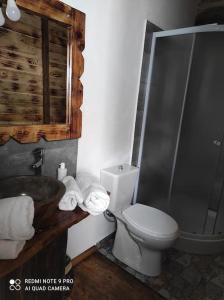 La salle de bains est pourvue de toilettes, d'une douche et d'un lavabo. dans l'établissement Căsuța de la munte, à Bistriţa