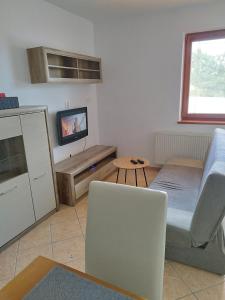 sala de estar con sofá, mesa y TV en Ubytovanie Vo dvore en Badín